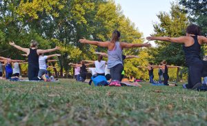 Eine Gruppe Yogapraktizierende in einer Parkladschaft